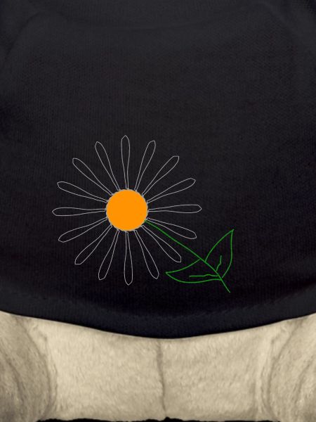 Sonnenblume
