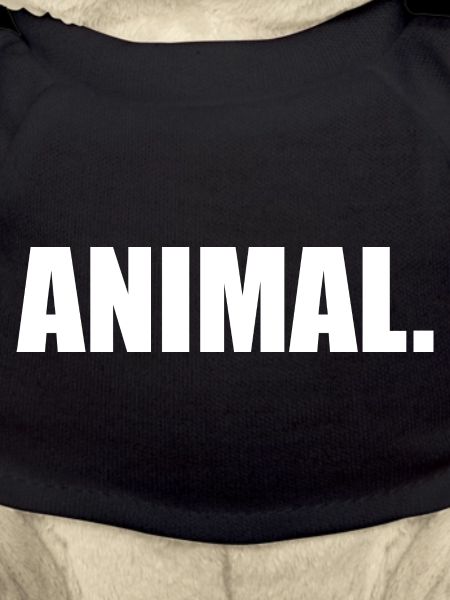ANIMAL