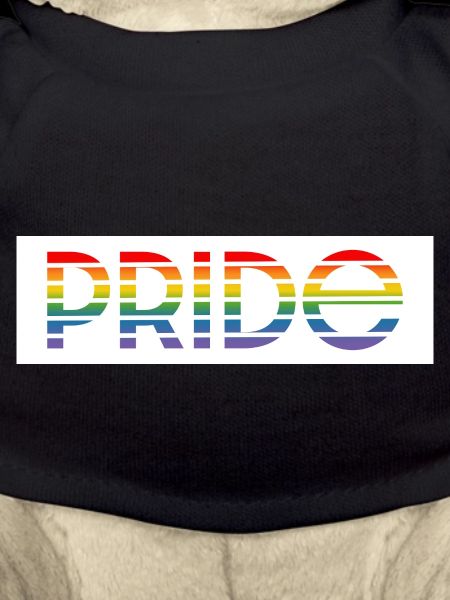 Pride rainbow white background