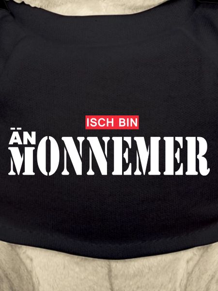 Mannheim Monnem