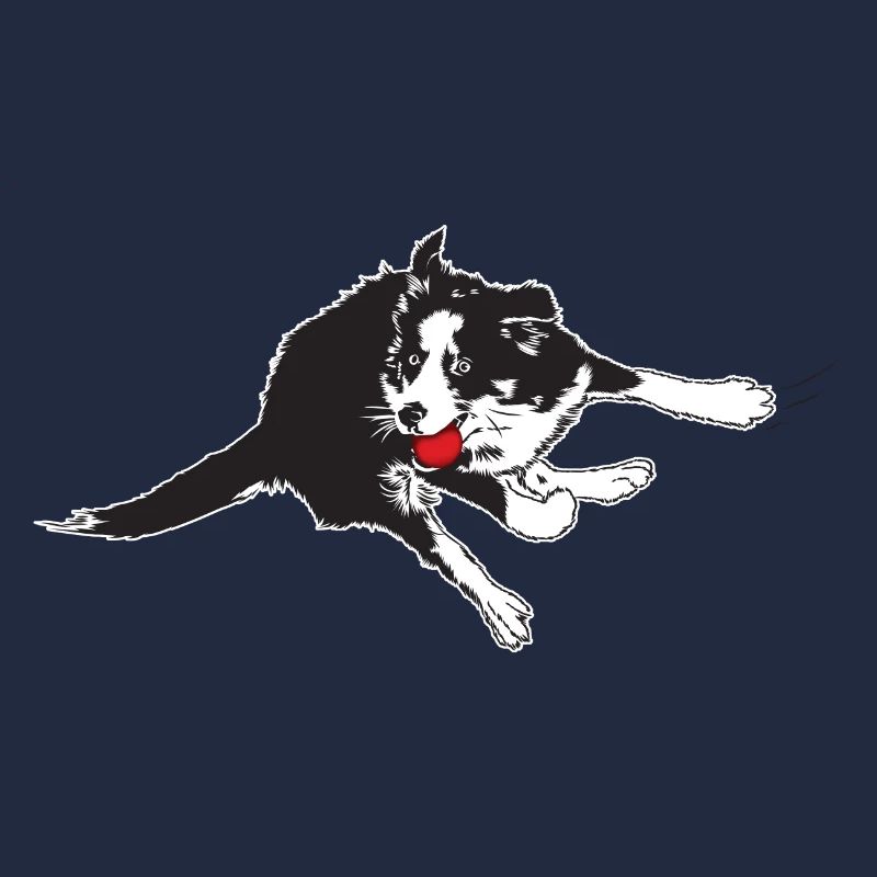 Flyball2