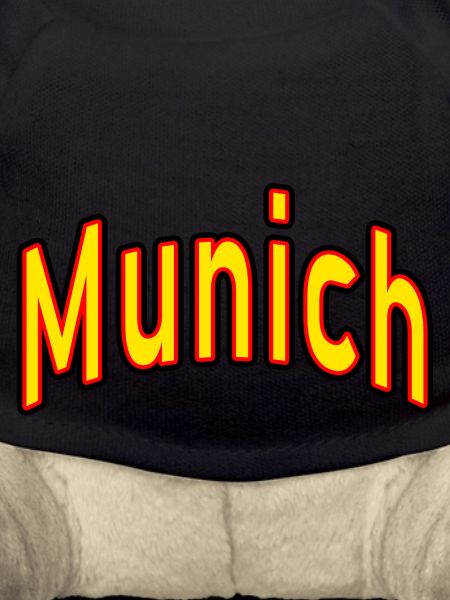 münchen munich