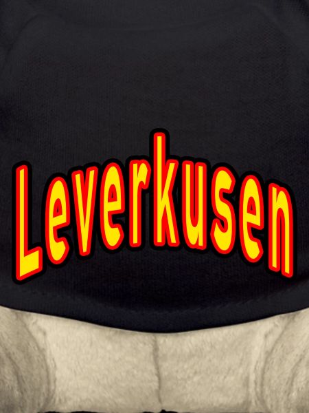 Leverkusen