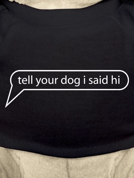 Hund Dog