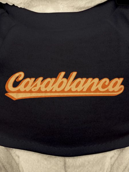 CasaBlanca Retro Script