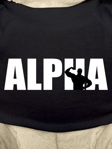 Alpha