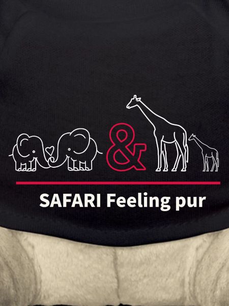 Safari