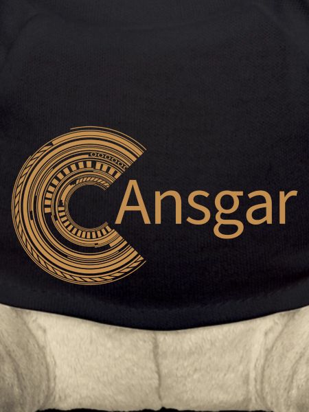 For Ansgar