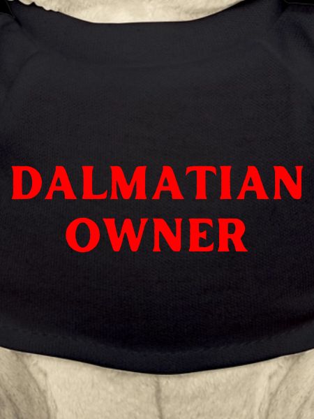 Dalmatian Dog Dog Owner