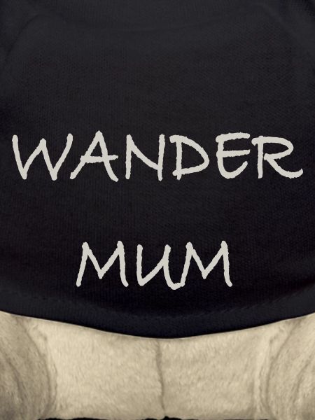 230611 0007 wander MUM