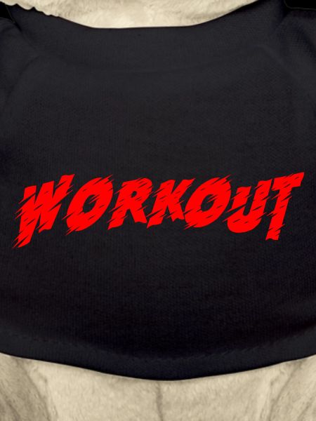 Workout