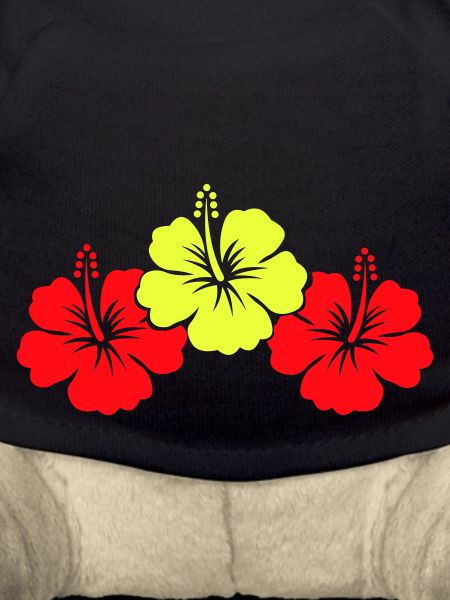 Fleur d’hibiscus 2