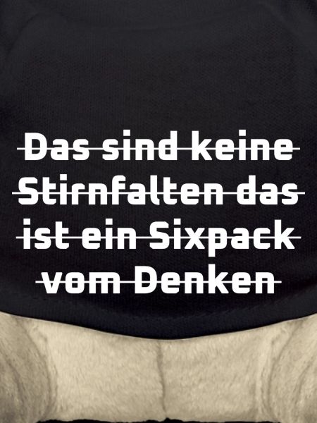 witzige sprüche sixpack