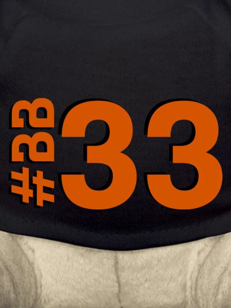 BB33-KARTON