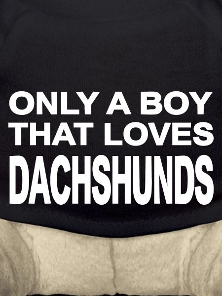 Dachshund