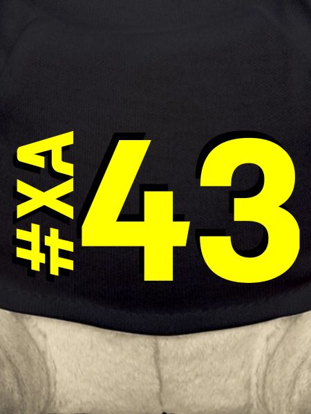 XA43