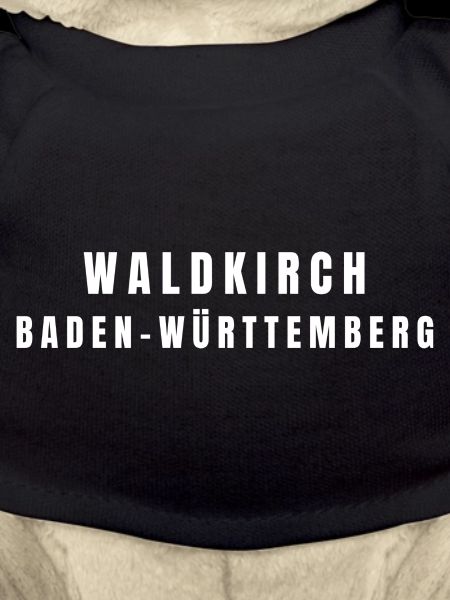 Waldkirch Baden-Württemberg