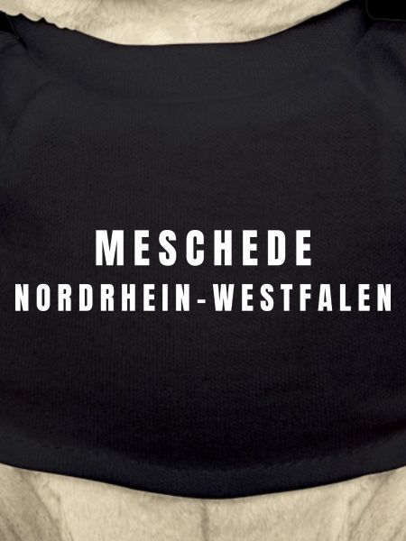 Meschede, North Rhine-Westphalia