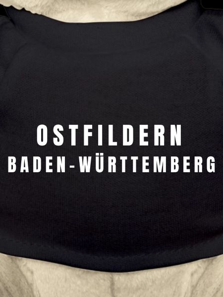 Ostfildern, Bade-Wurtemberg