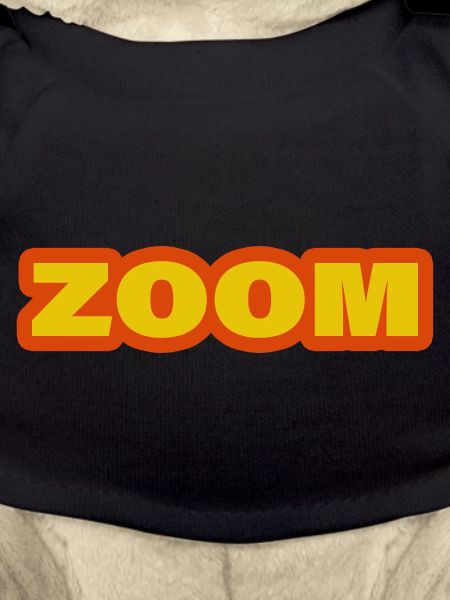 ZOOM