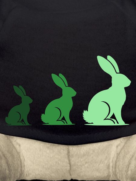 Lapin Lapin 3