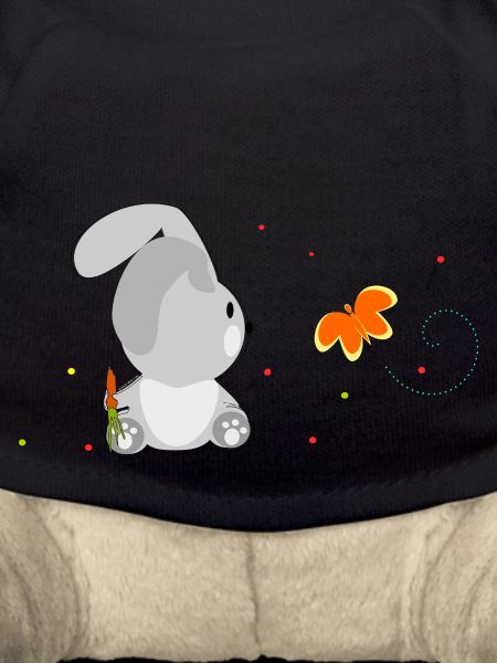Le lapin et le papillon