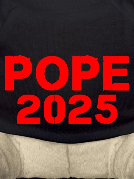 pope 2025
