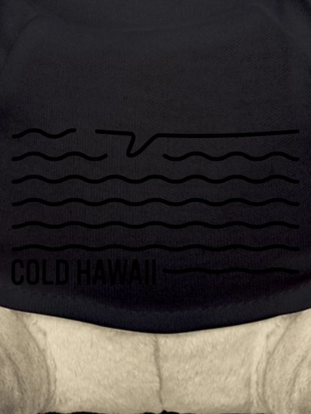 Planche de surf froide d’Hawaï