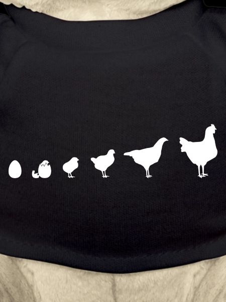Snapshot Chick Family, Chicken, Evolution,