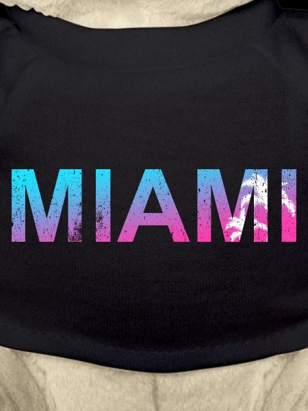 Miami Neon Palm Trees Sunset