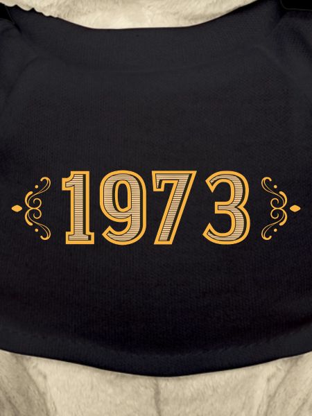 Legend since 1973 retro 1973