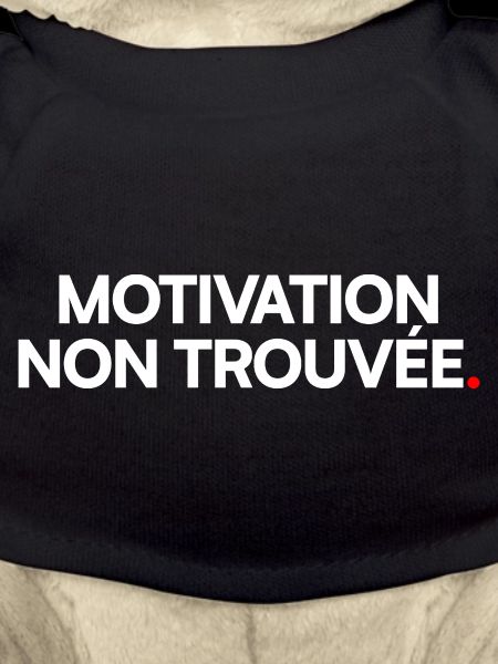 Motivation non trouvée