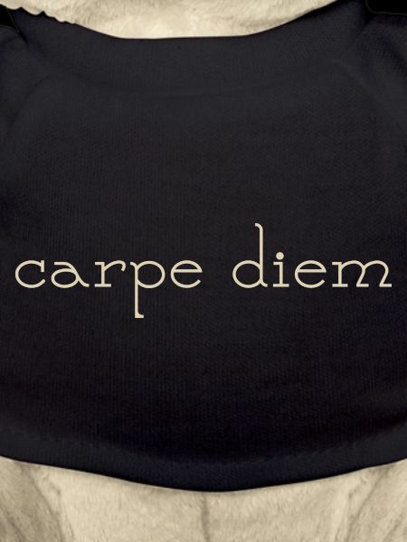 carpe diem