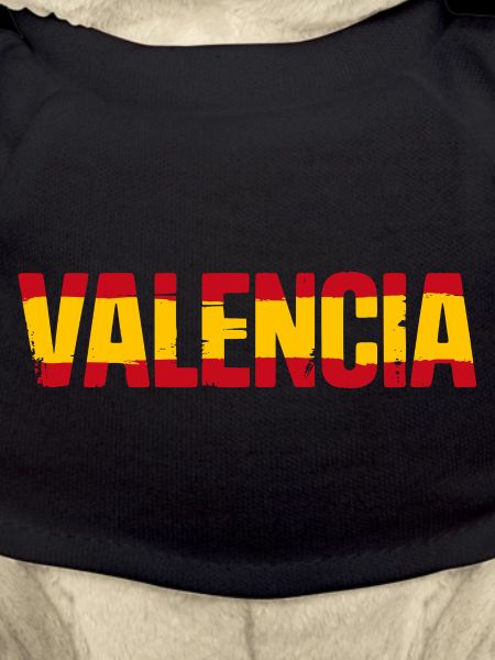 Valencia Flagge Spanien