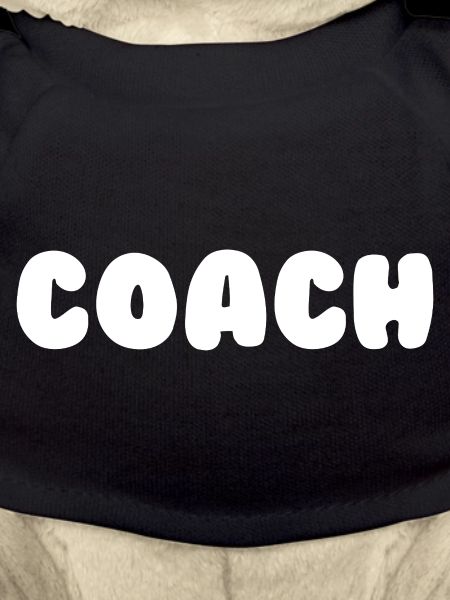 Coach Trainer Sport