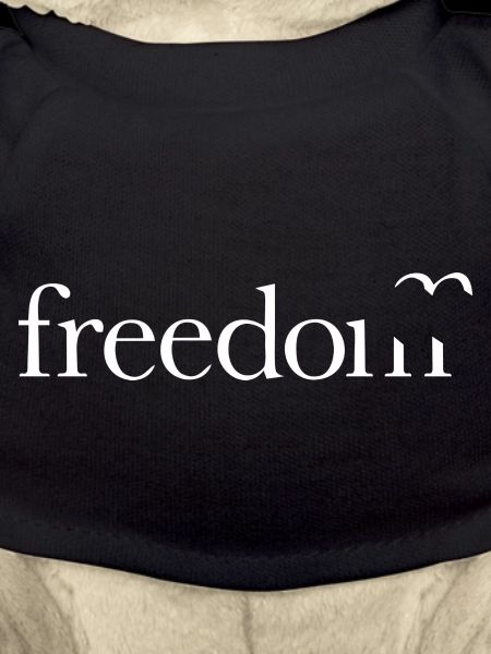 Freedom (dark)