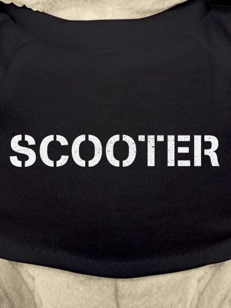 Stunt scooter