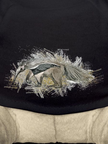 Anteater