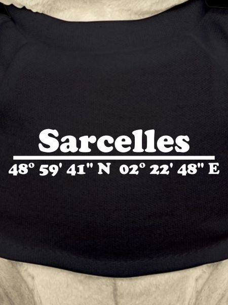 Coordonnées des sarcelles