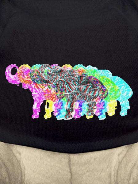 Edelfant Elephant PopArt