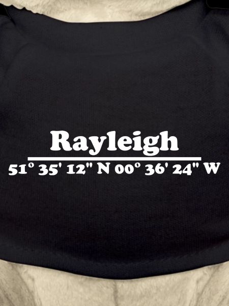 Coordonnées de Rayleigh