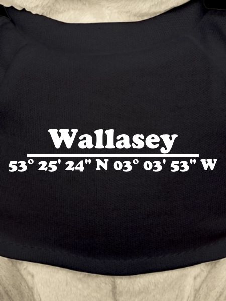 Coordonnées Wallasey