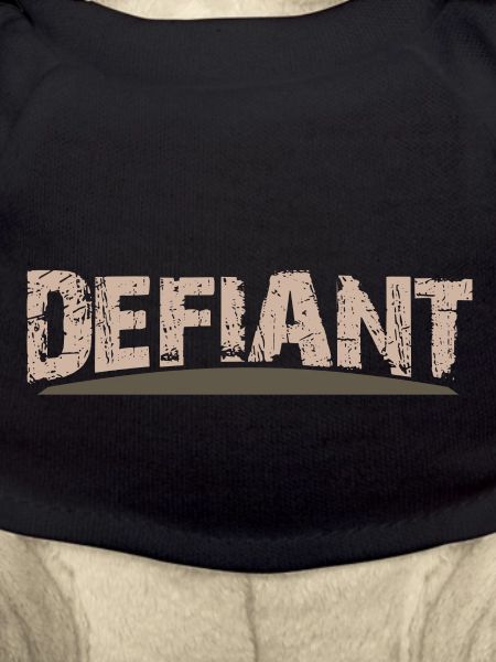 Defiant - Rustic Design