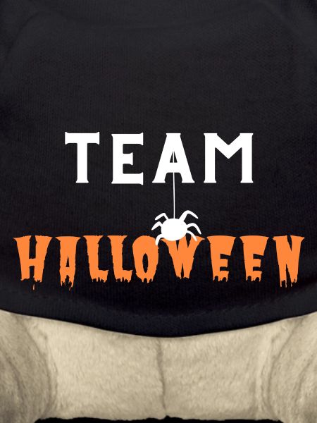 TEAM HALLOWEEN SPIDER