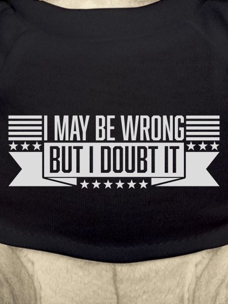 I may be wrong