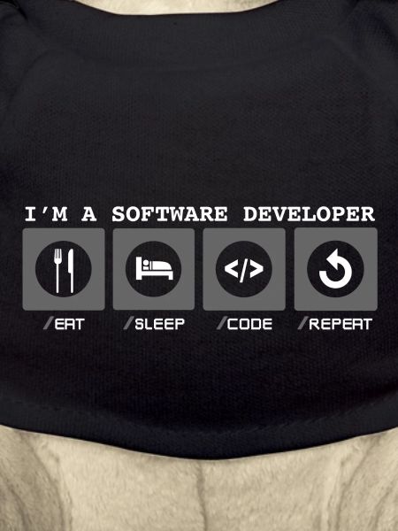 I'm a Software Developer - Softwareentwicklerin