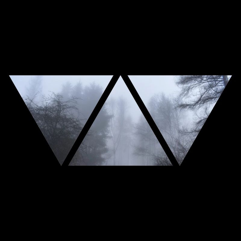 Forest Fog Triangle Photo Gloomy Gift Winter