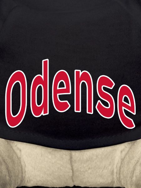 Odense