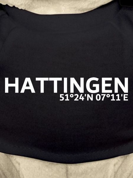 Coordonnées de Hattingen