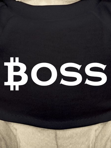 Bitcoin Trading Crypto Stocks